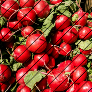 #143 Die Nacht der Radieschen